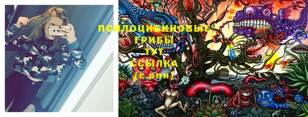 ешки Вяземский
