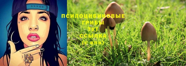 каннабис Горно-Алтайск