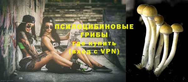 гашиш Горнозаводск