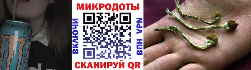 Купить закладки  Тетюши  Галлюциногенные грибы GOLDEN TEACHER 